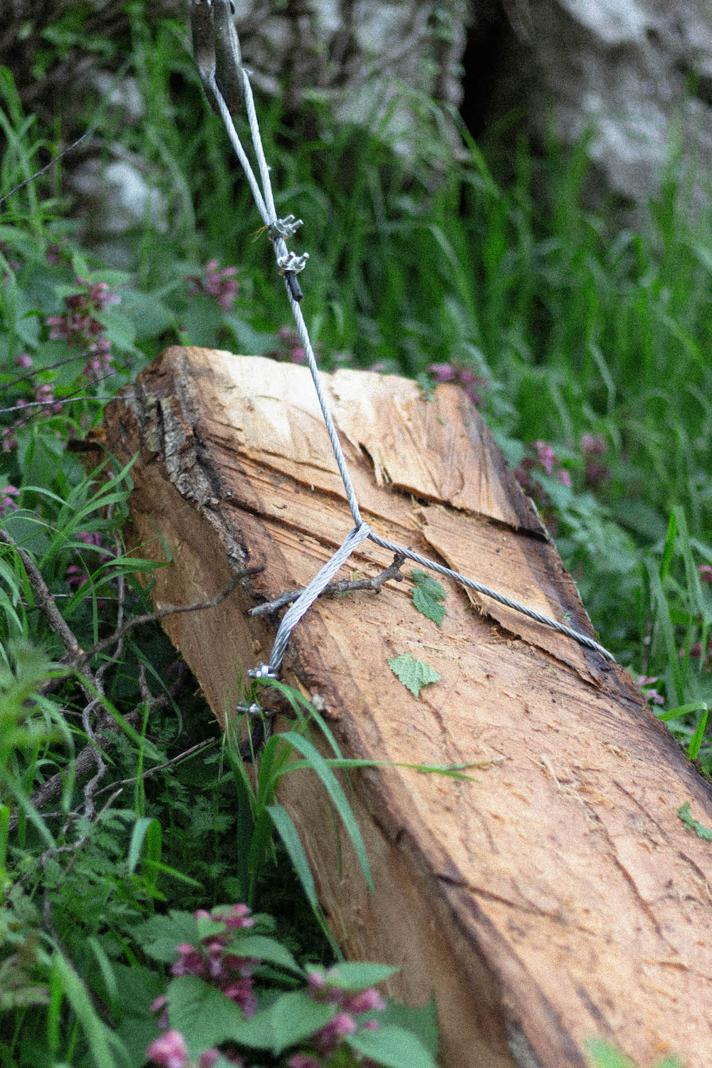 Log